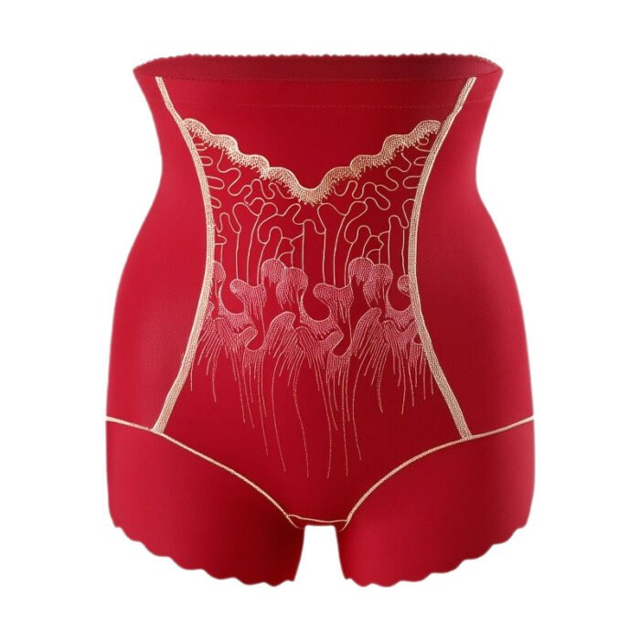 Culotte Gainante Femme Haute Taille avec Contrôle du Ventre – Image 11