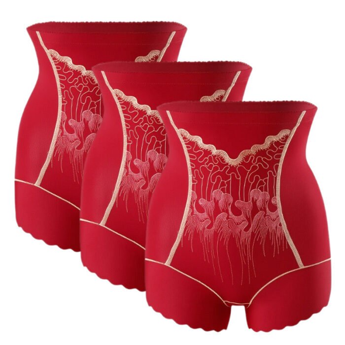 Culotte Gainante Femme Haute Taille avec Contrôle du Ventre – Image 15